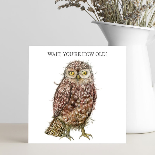 card-and-vase-owl_1095264867