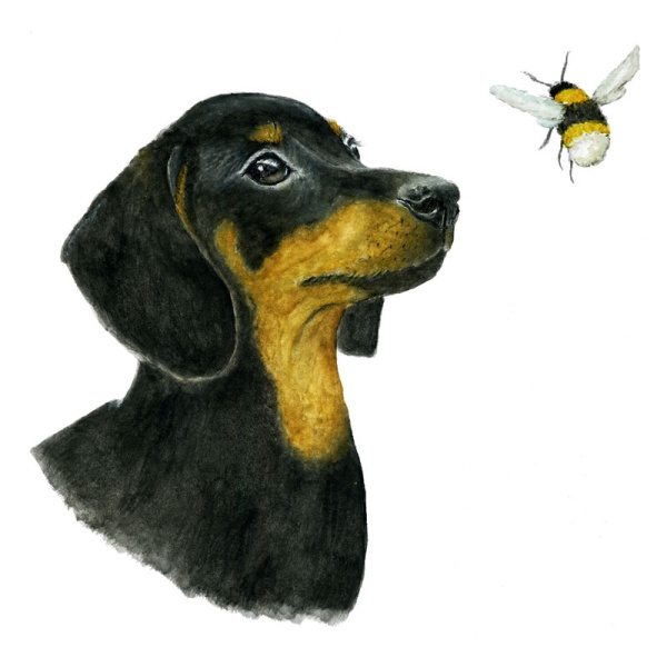 wawd-card-dachshund-and-bee_193164672